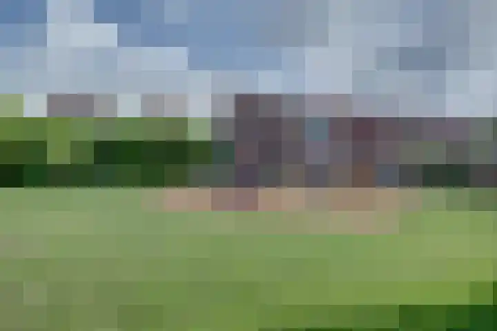 Aardbeivlinder 5 Hoogeveen thumbnail 36