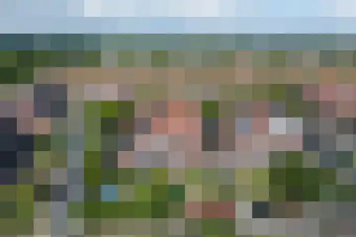 Aardbeivlinder 5 Hoogeveen thumbnail 37