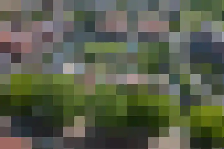 Aardbeivlinder 5 Hoogeveen thumbnail 39