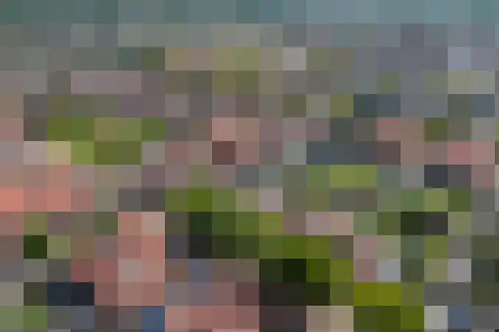 Aardbeivlinder 5 Hoogeveen thumbnail 40