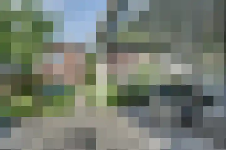 Aardbeivlinder 5 Hoogeveen thumbnail 5