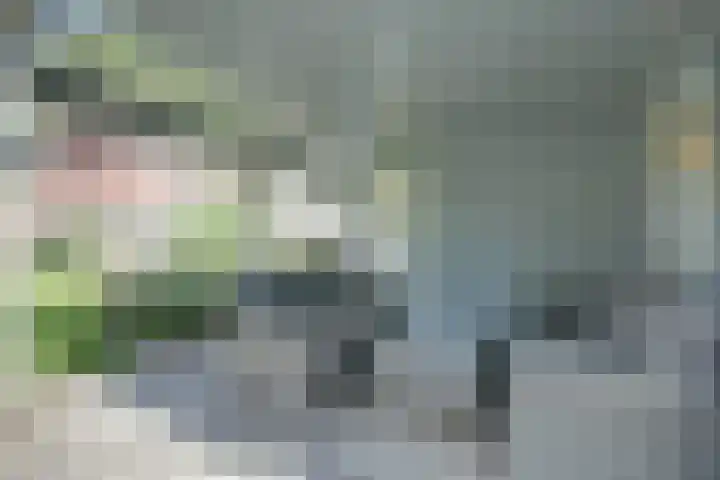 Aardbeivlinder 5 Hoogeveen thumbnail 6