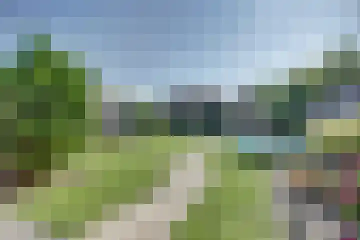 Aardbeivlinder 5 Hoogeveen thumbnail 7