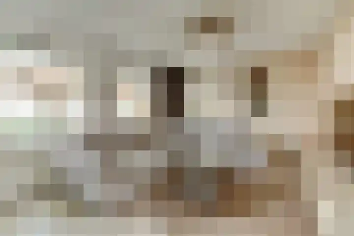Aardbeivlinder 5 Hoogeveen thumbnail 9