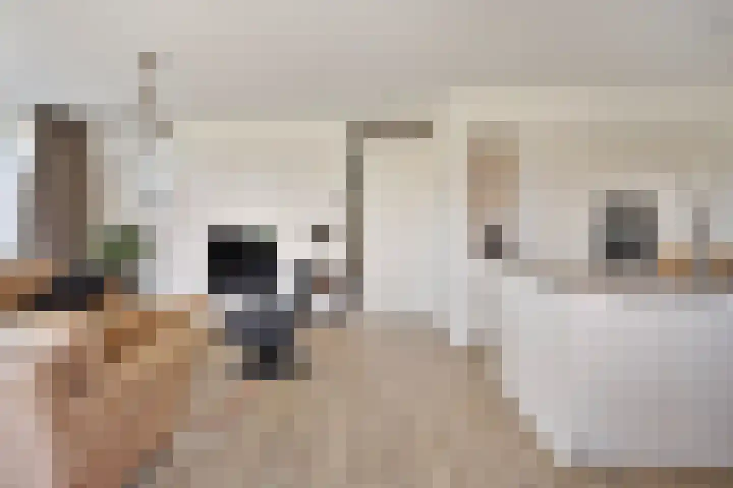 Aardbeivlinder 68 01 Tiel thumbnail 6