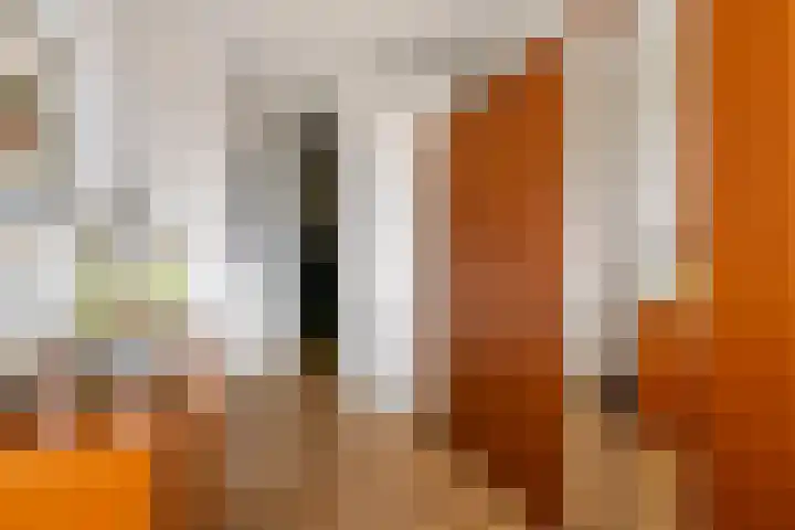 Aardbeivlinder 68 23 Tiel thumbnail 17