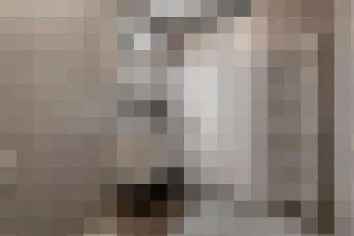 Aardbeivlinder 68 23 Tiel thumbnail 19