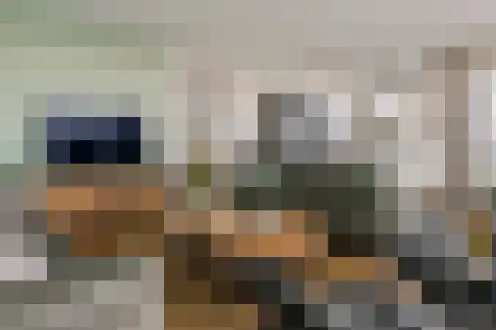 Aardbeivlinder 68 23 Tiel thumbnail 23