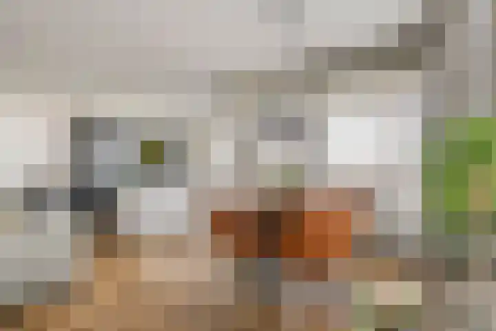 Aardbeivlinder 68 23 Tiel thumbnail 27