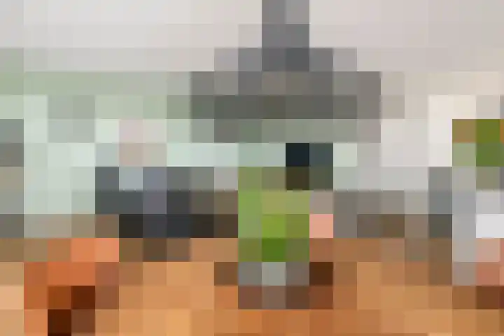 Aardbeivlinder 68 23 Tiel thumbnail 30