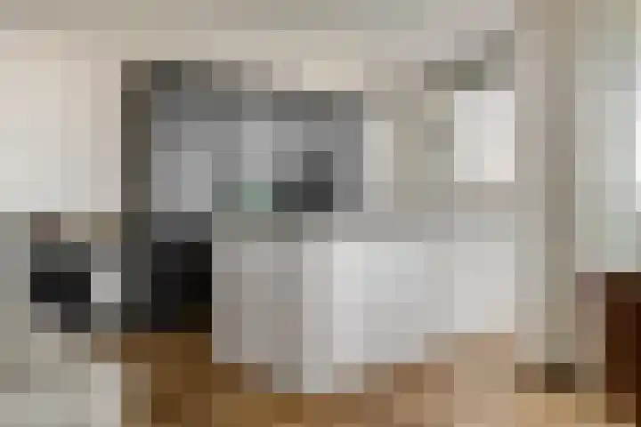 Aardbeivlinder 68 23 Tiel thumbnail 31