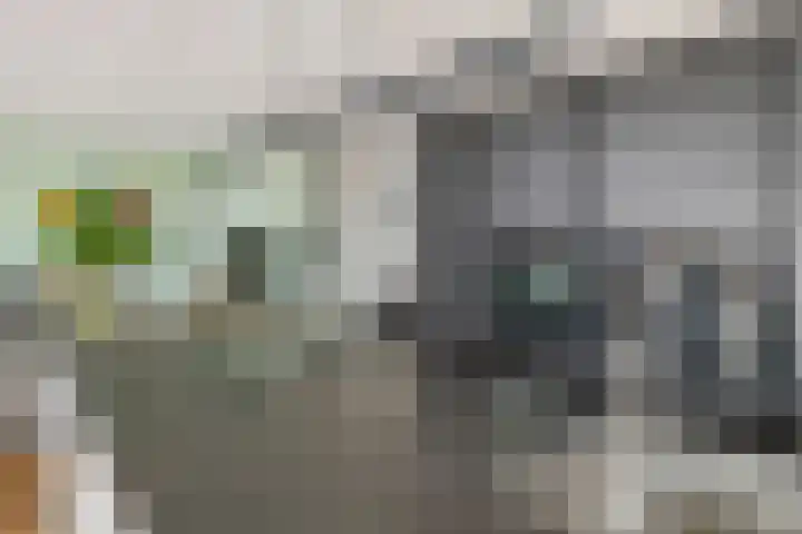 Aardbeivlinder 68 23 Tiel thumbnail 32