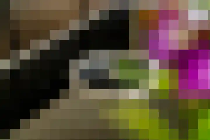 Aardbeivlinder 68 23 Tiel thumbnail 34