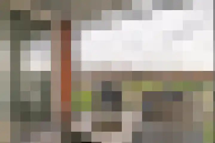 Aardbeivlinder 68 23 Tiel thumbnail 37