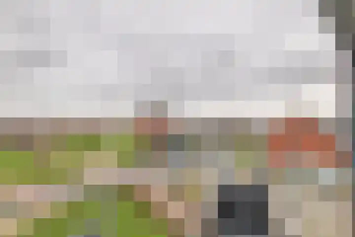 Aardbeivlinder 68 23 Tiel thumbnail 38