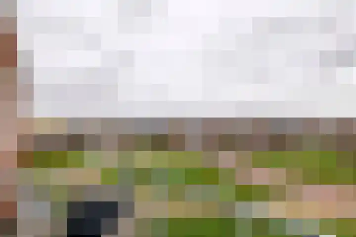 Aardbeivlinder 68 23 Tiel thumbnail 39