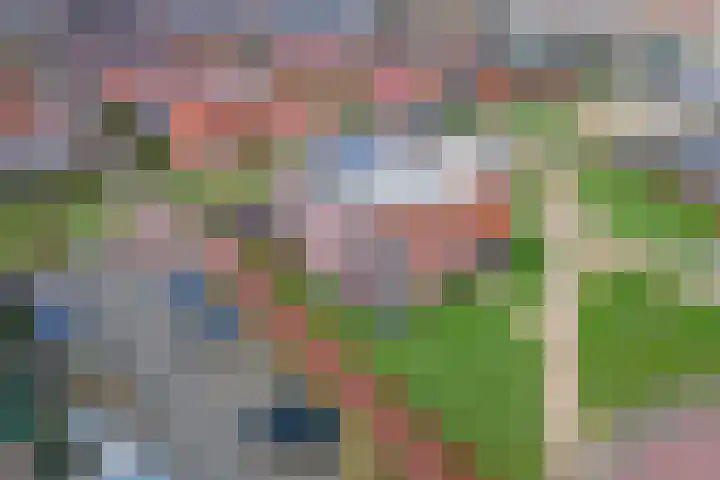 Aardbeivlinder 68 23 Tiel thumbnail 41