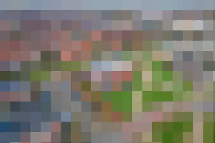 Aardbeivlinder 68 23 Tiel thumbnail 42