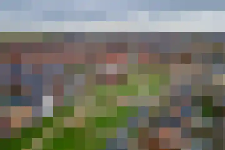 Aardbeivlinder 68 23 Tiel thumbnail 44