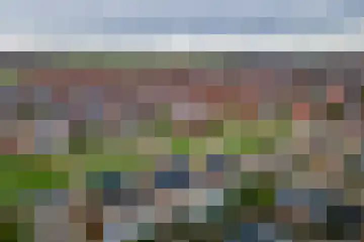 Aardbeivlinder 68 23 Tiel thumbnail 45