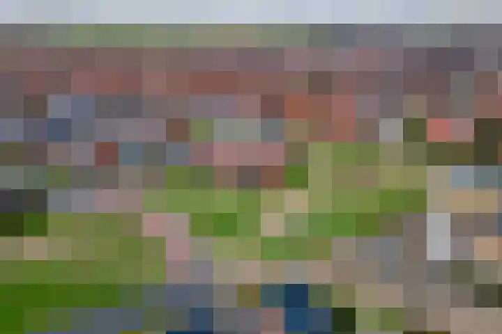 Aardbeivlinder 68 23 Tiel thumbnail 46