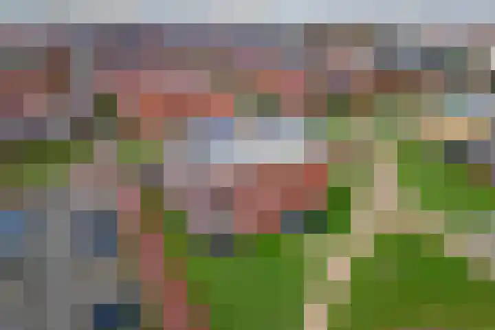 Aardbeivlinder 68 23 Tiel thumbnail 47