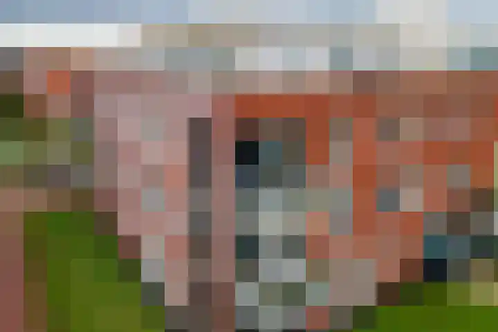 Aardbeivlinder 68 23 Tiel thumbnail 49