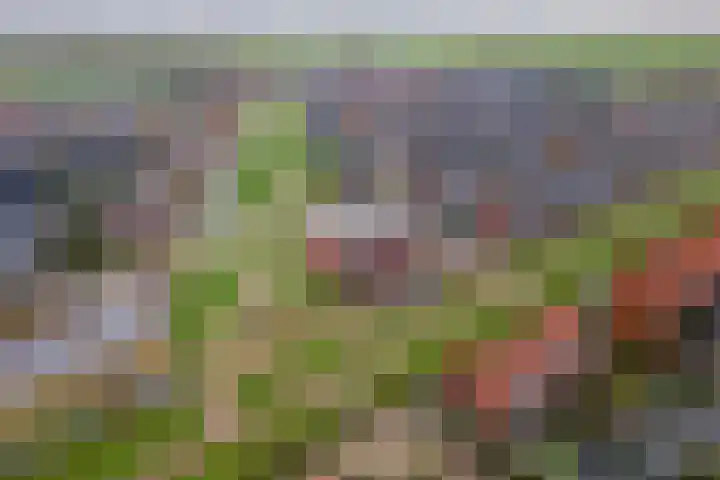 Aardbeivlinder 68 23 Tiel thumbnail 51
