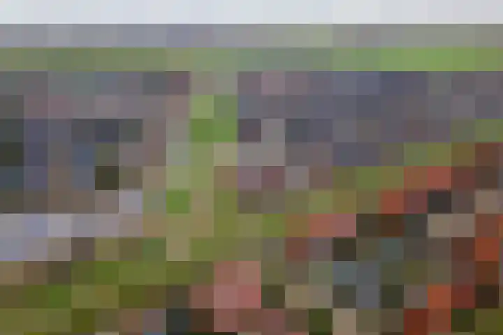 Aardbeivlinder 68 23 Tiel thumbnail 52