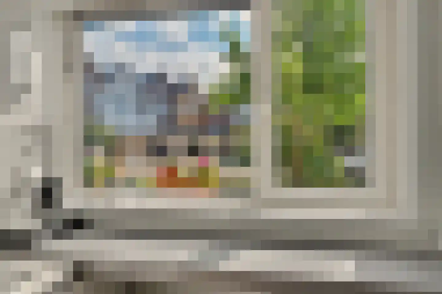 Aardbeivlinder 78 Tiel thumbnail 13