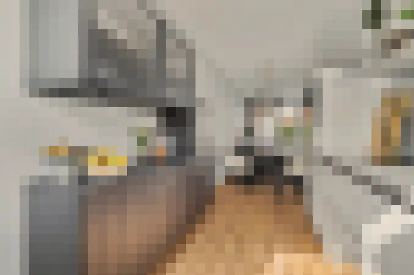 Aardbeivlinder 78 Tiel thumbnail 14