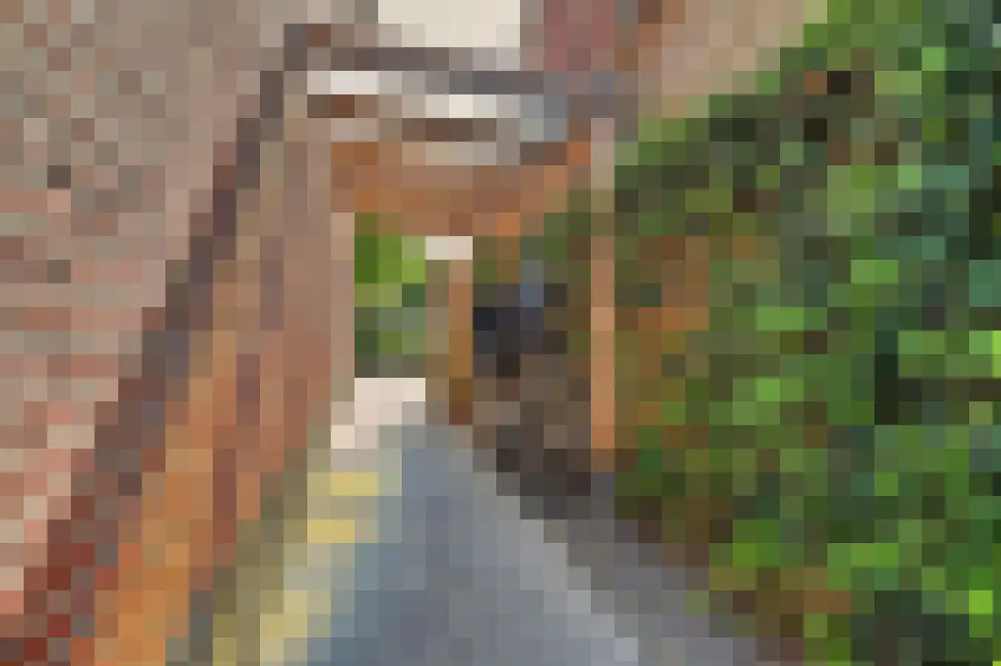 Aardbeivlinder 78 Tiel thumbnail 29