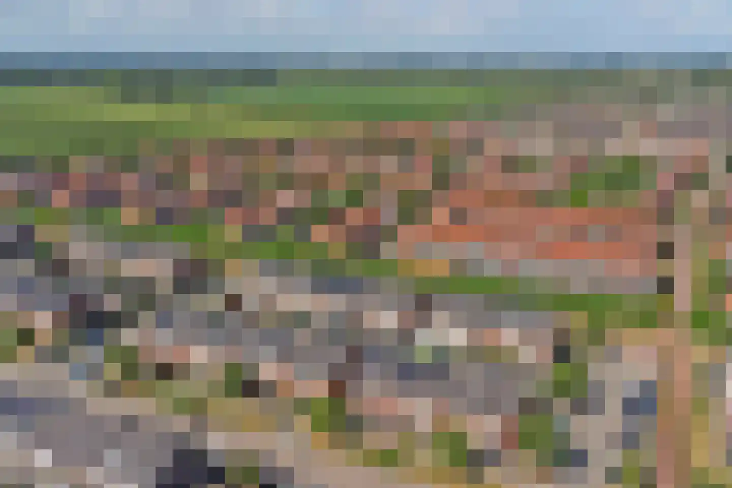 Aardbeivlinder 78 Tiel thumbnail 31