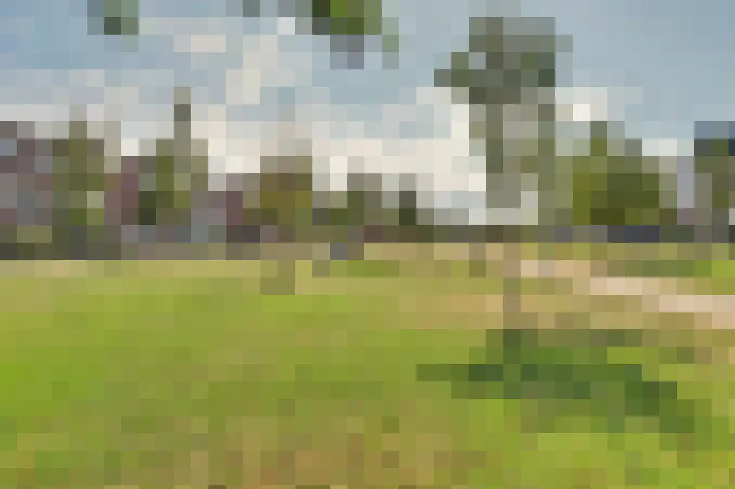 Aardbeivlinder 78 Tiel thumbnail 35