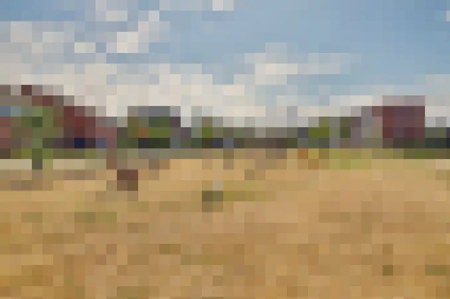 Aardbeivlinder 78 Tiel thumbnail 36