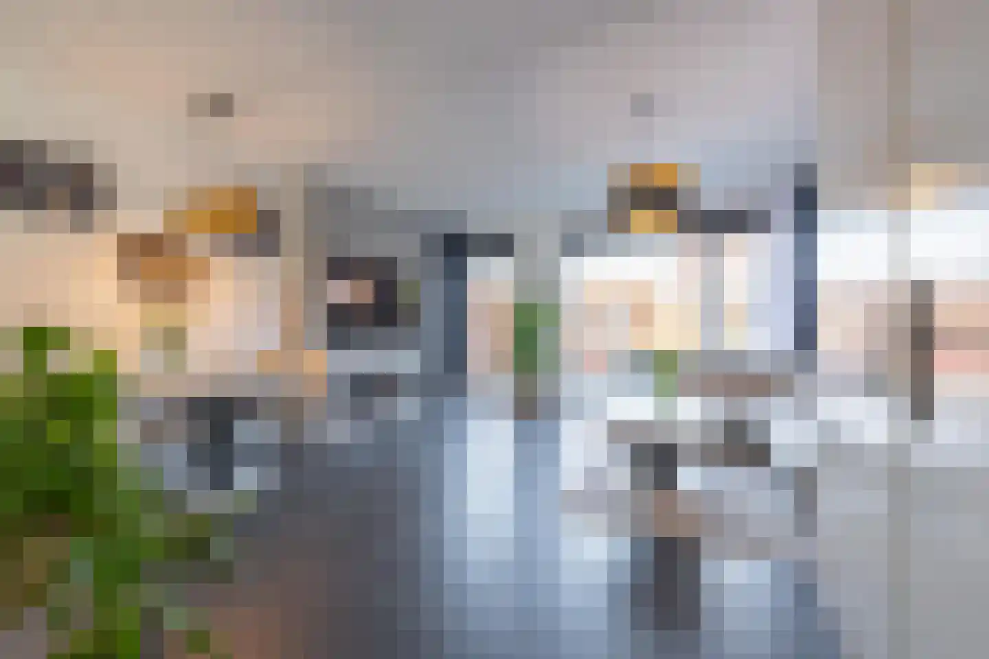 Aardbeivlinder 81 Tiel thumbnail 11