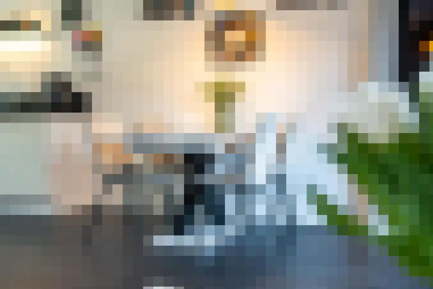 Aardbeivlinder 81 Tiel thumbnail 17