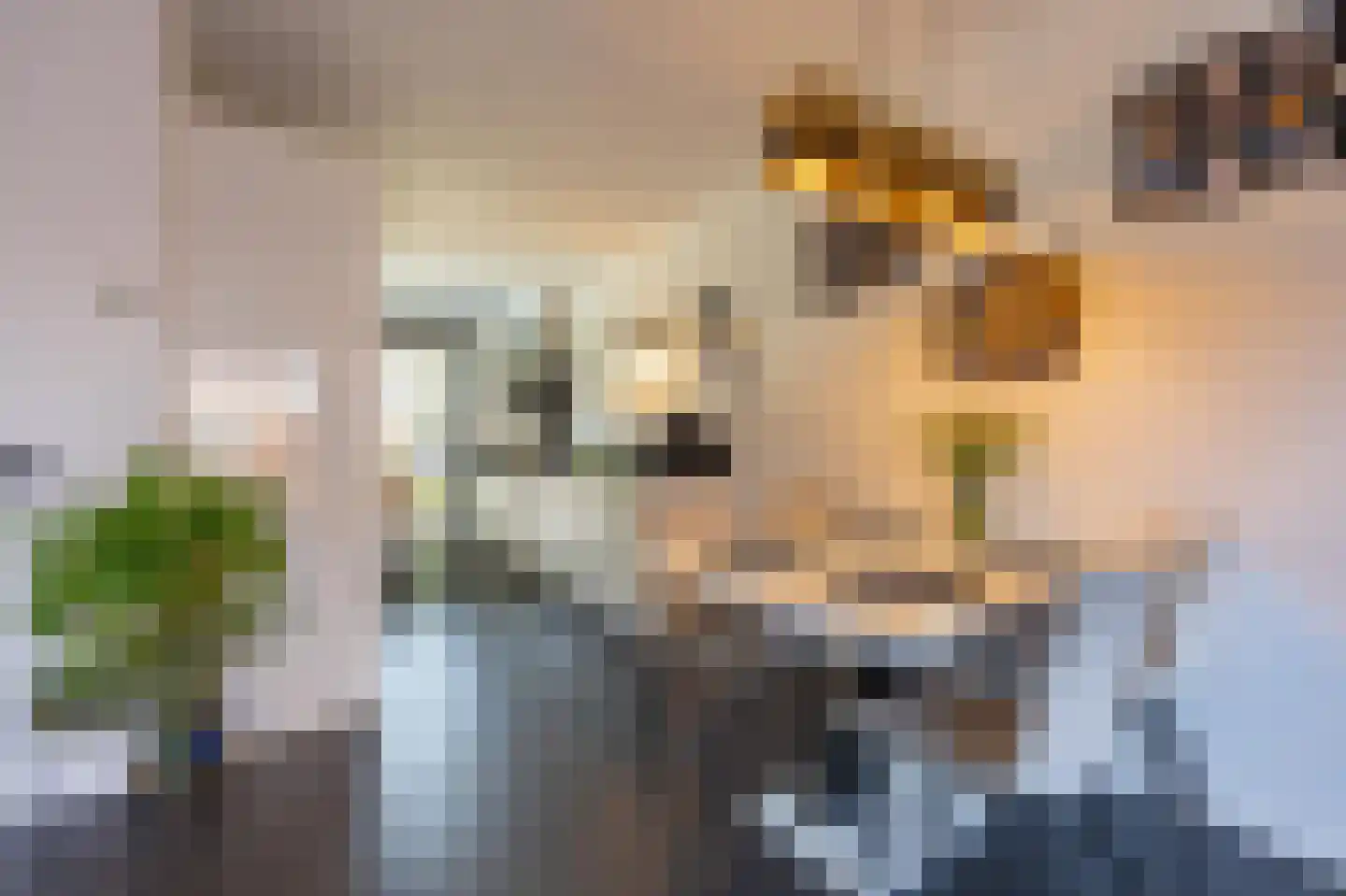 Aardbeivlinder 81 Tiel thumbnail 18