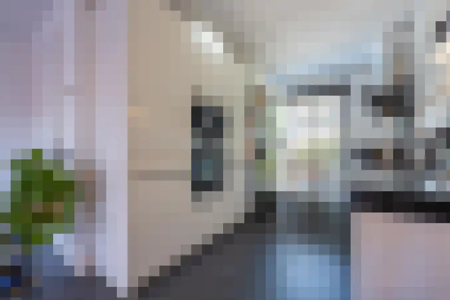 Aardbeivlinder 81 Tiel thumbnail 19