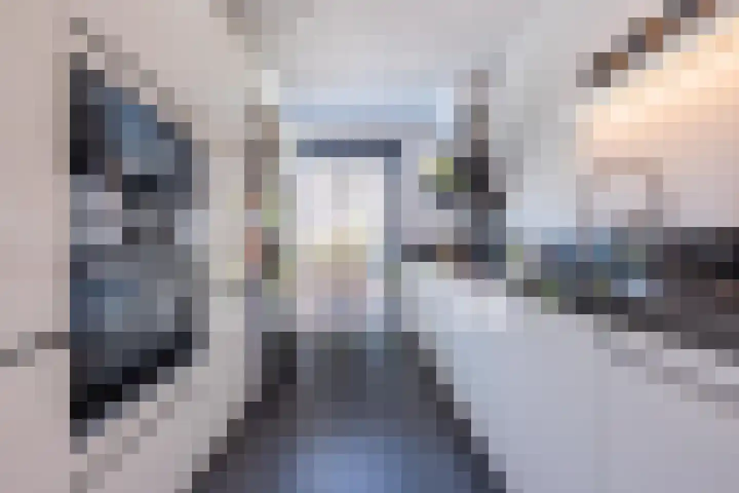 Aardbeivlinder 81 Tiel thumbnail 21