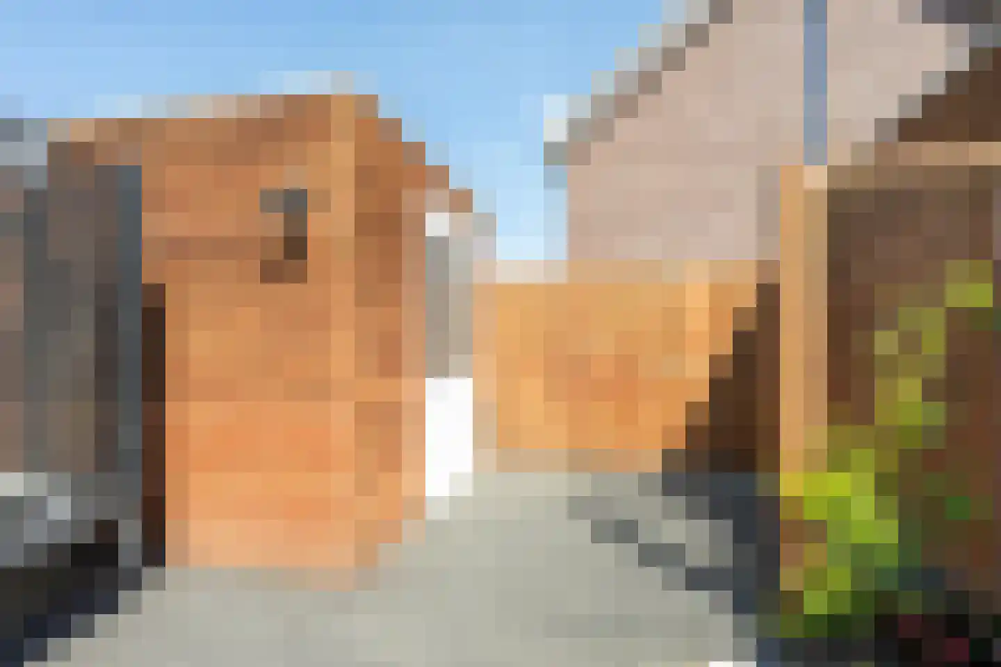 Aardbeivlinder 81 Tiel thumbnail 28