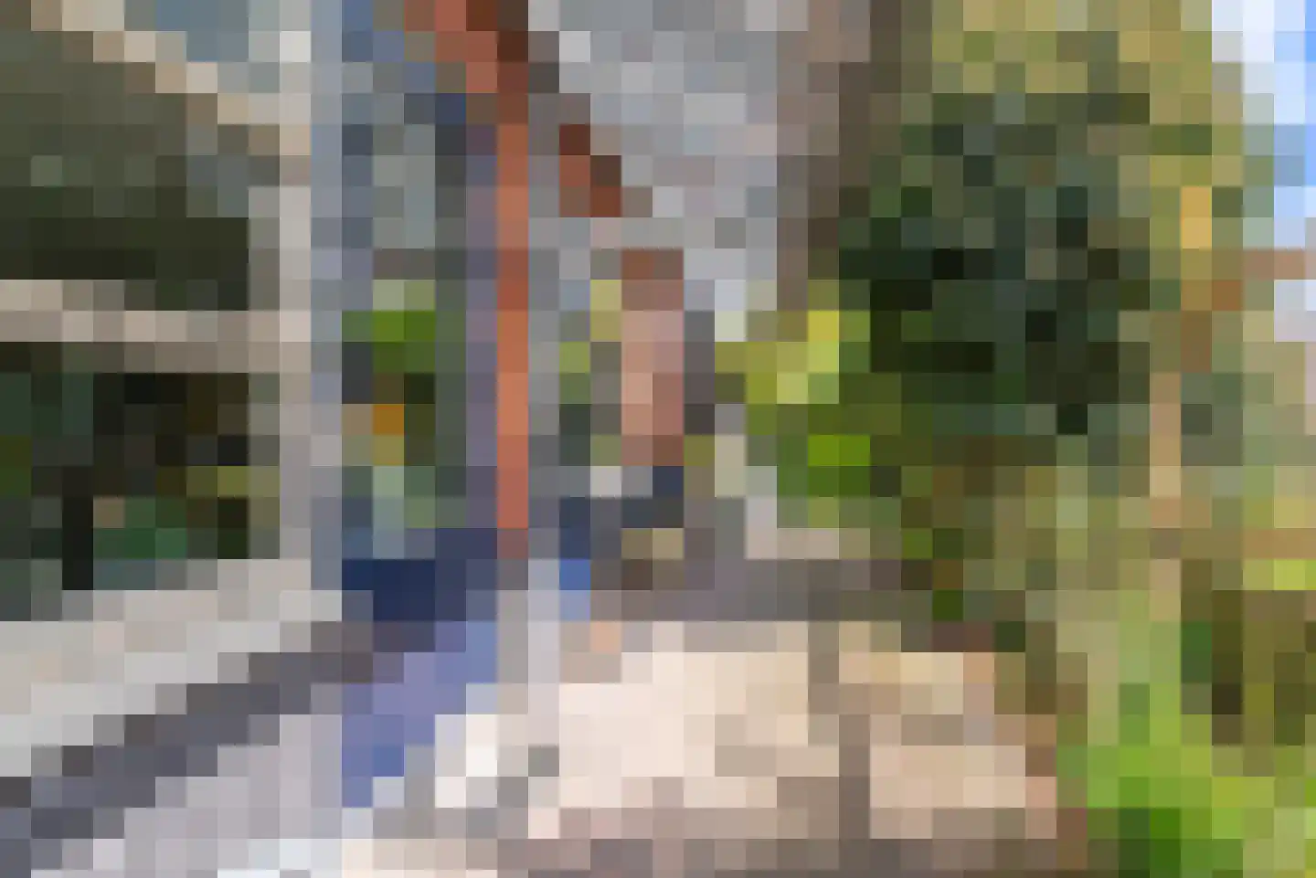 Aardbeivlinderstraat 10 Veenendaal thumbnail 19