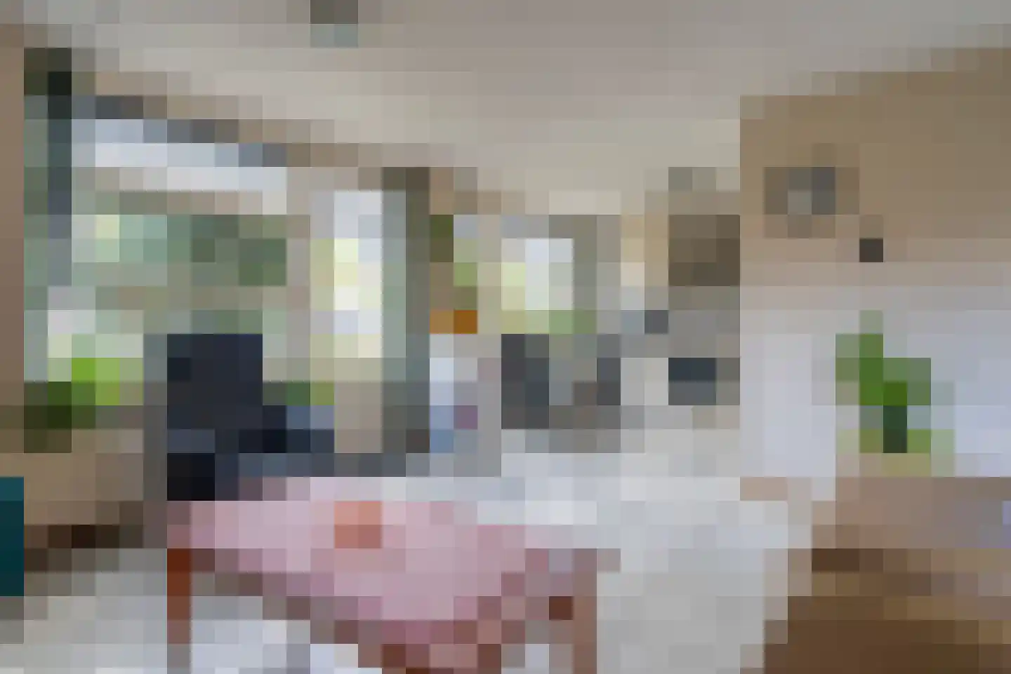 Aardbeivlinderstraat 10 Veenendaal thumbnail 5