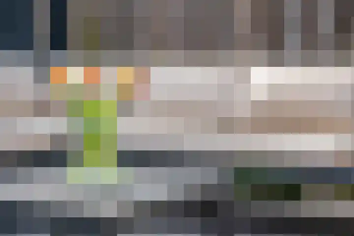 Aardbeivlinderstraat 20 Veenendaal thumbnail 31