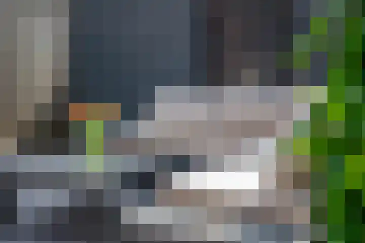 Aardbeivlinderstraat 20 Veenendaal thumbnail 33