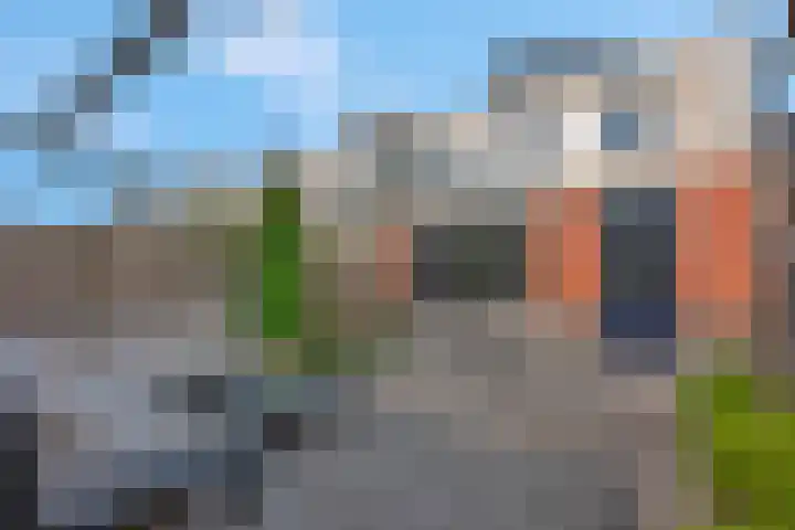 Aardbeivlinderstraat 20 Veenendaal thumbnail 35