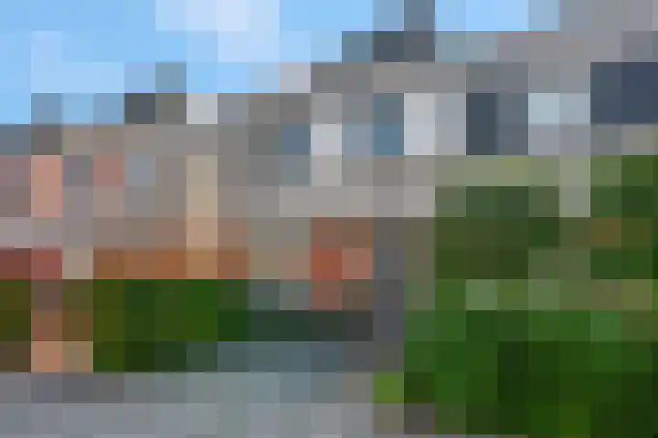 Aardbeivlinderstraat 20 Veenendaal thumbnail 6