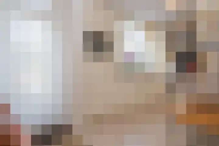 Aardbolhof 3 Maarn thumbnail 17