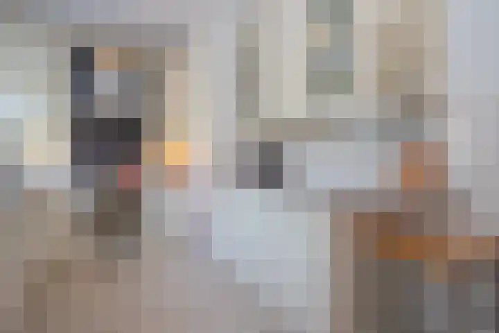 Aardbolhof 3 Maarn thumbnail 18