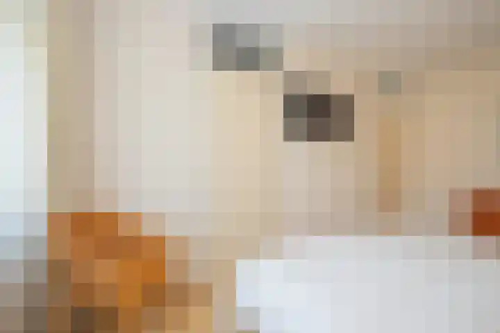 Aardbolhof 3 Maarn thumbnail 25